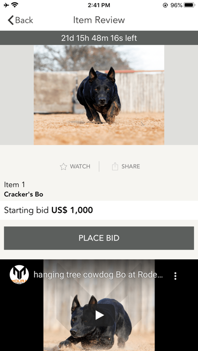 Select Stock Dog Sales Screenshot