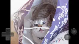Game screenshot 猫飼いシミュレーション hack