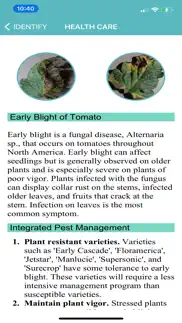 tomato diseases identification problems & solutions and troubleshooting guide - 3