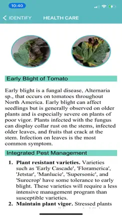 Tomato Diseases Identification iPhone image 4