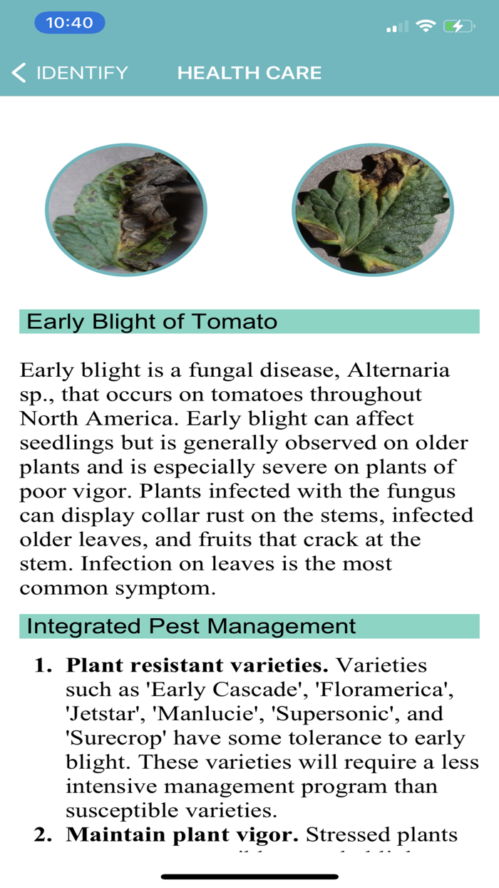 Tomato Diseases Identification