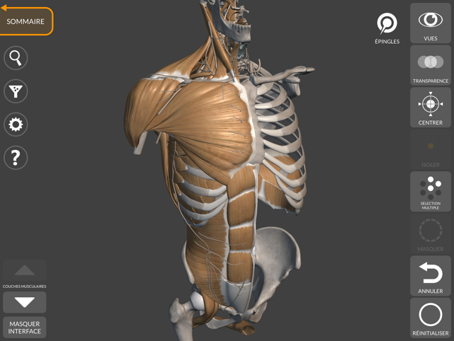 ‎Anatomie 3D pour l'Artiste Capture d'écran