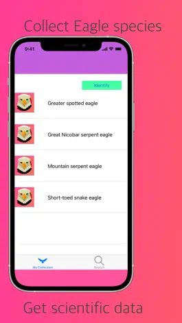 Game screenshot Eagle Identifier hack