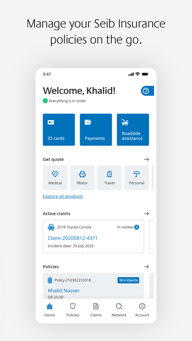 Seib Insurance & Reinsurance Screenshot