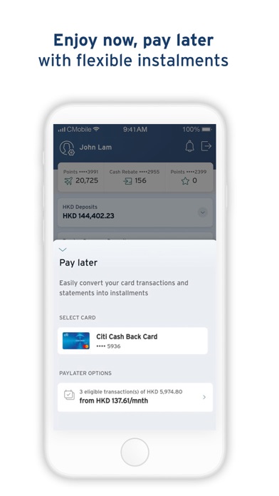 Citibank HK Screenshot