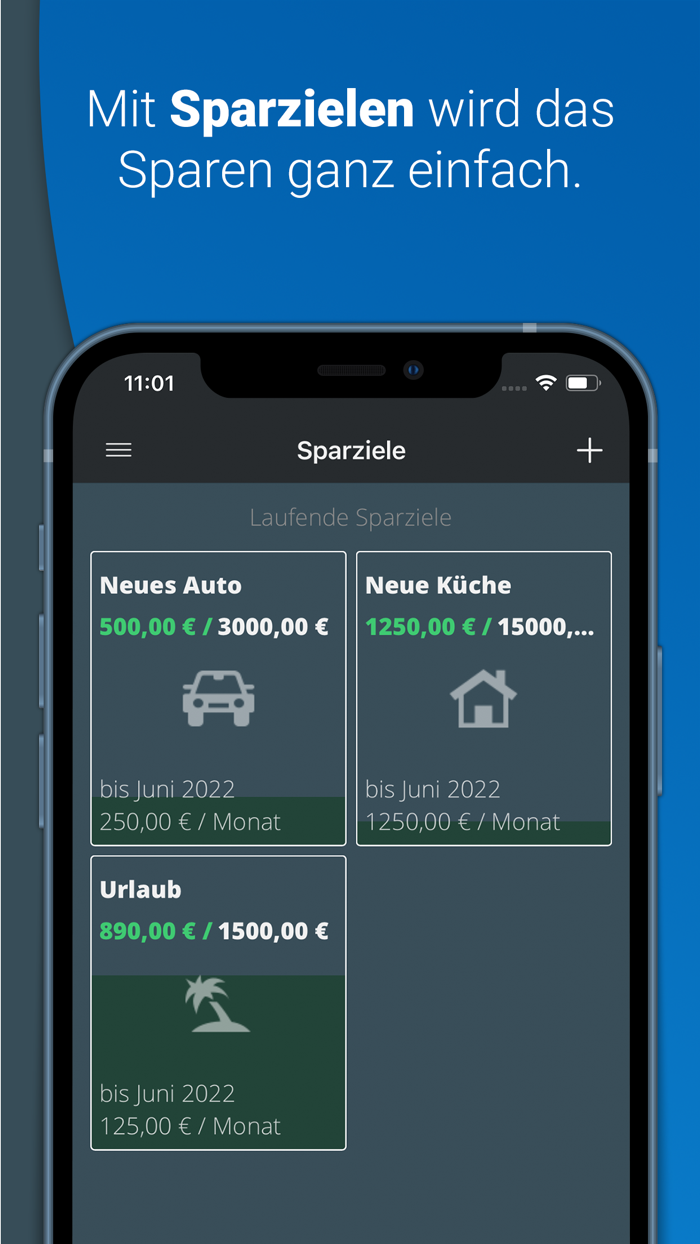 mein Budget -Ausgaben im Griff