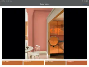 Dulux Colour Concept screenshot #4 for iPad