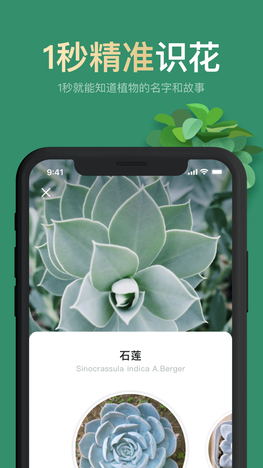 #1. 拍照识花-植物花卉树木识别 (iOS) 게시자: Chengdu Kunchenghudong Technology Co., Ltd