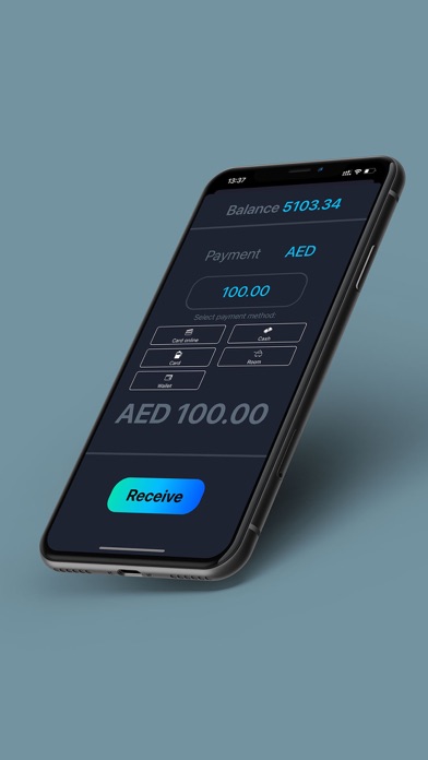 BPay Lite Screenshot