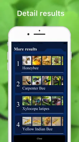 Game screenshot Insect Identification Bug Bite apk