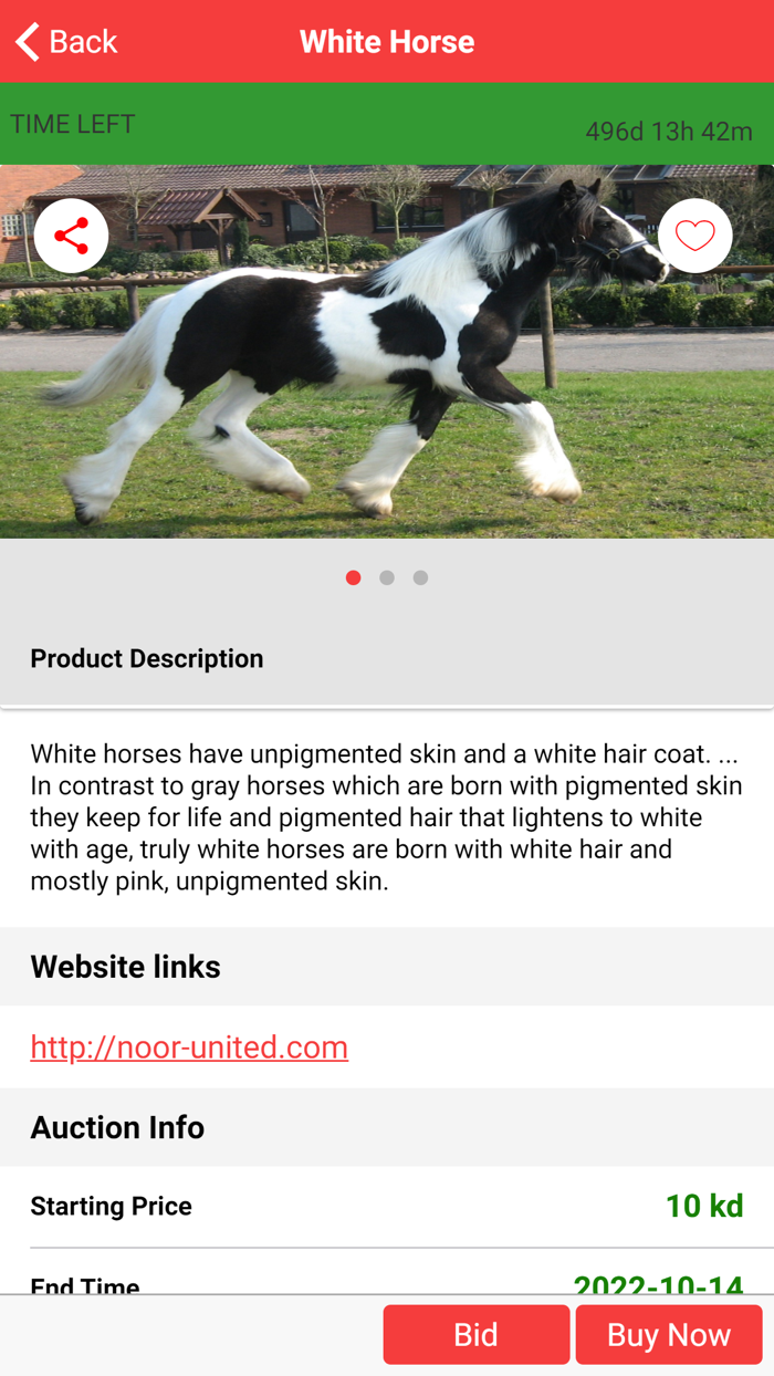 Wara Hourses auction