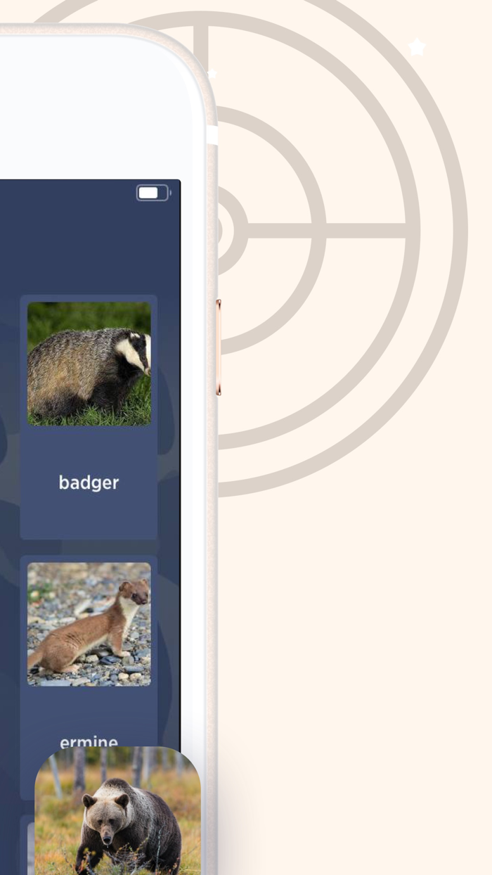 Manok Sounds for Duck