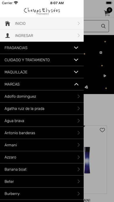 Champs Elysees Screenshot