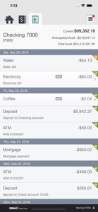 ESSA Business Mobile Banking screenshot #5 for iPhone