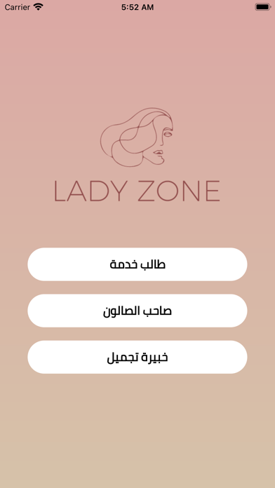 LADY ZONE Screenshot