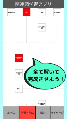 Game screenshot 関連図学習アプリ hack
