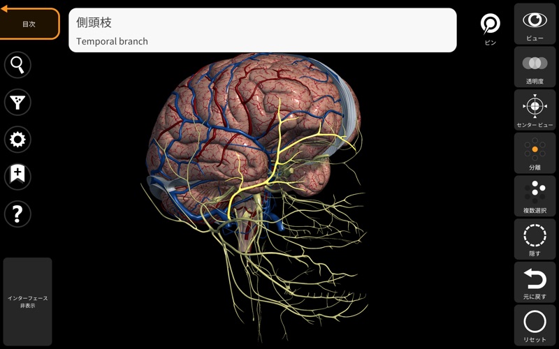 解剖学 - 3Dアトラス screenshot1