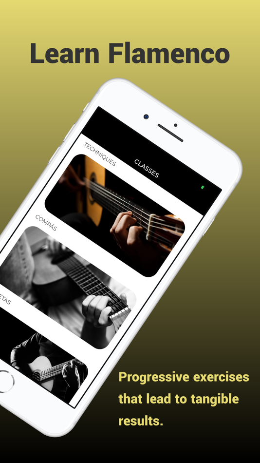 Learn Flamenco Guitar - 2.2 - (iOS)