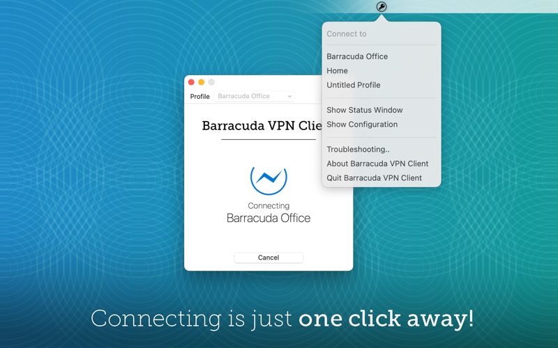 Screenshot #2 pour Barracuda VPN Client