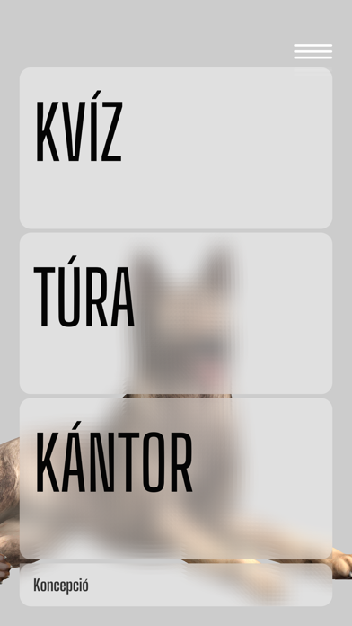 Kántor nyomozz! Screenshot