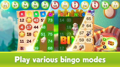 Bingo: Love in Montana Screenshot