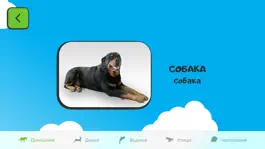 Game screenshot Азбука для детей (RU) hack