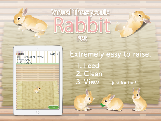 Virtual Therapeutic Rabbit Pet