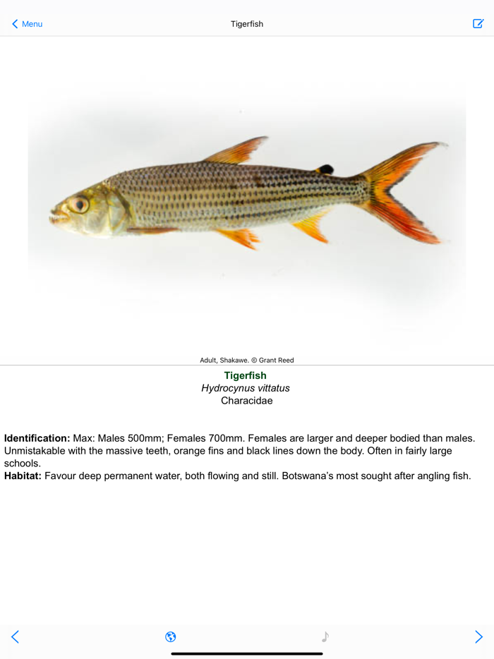 Botswana Wildlife Guide