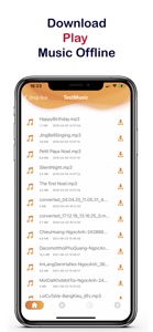 Offline Music Player * screenshot #2 for iPhone