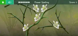 Game screenshot High Frequency Words 2 hack