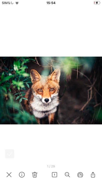 Image Bulk Saver / iDig screenshot-5