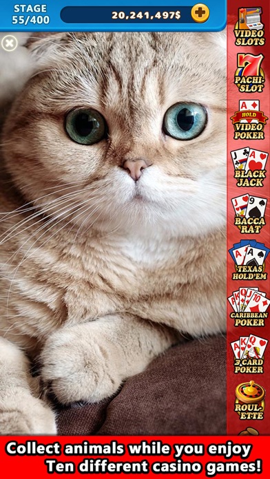 Animal Hot Casino Slots Screenshot