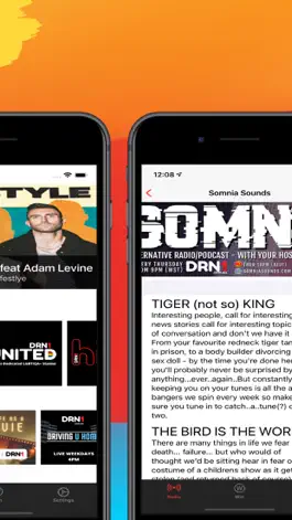 Game screenshot DRN1 apk