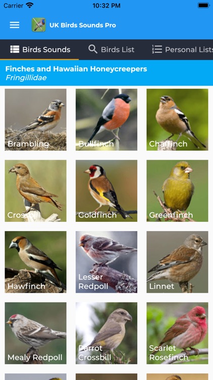 UK Birds Sounds Pro