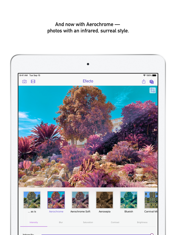 Efecto — hand-crafted filters
