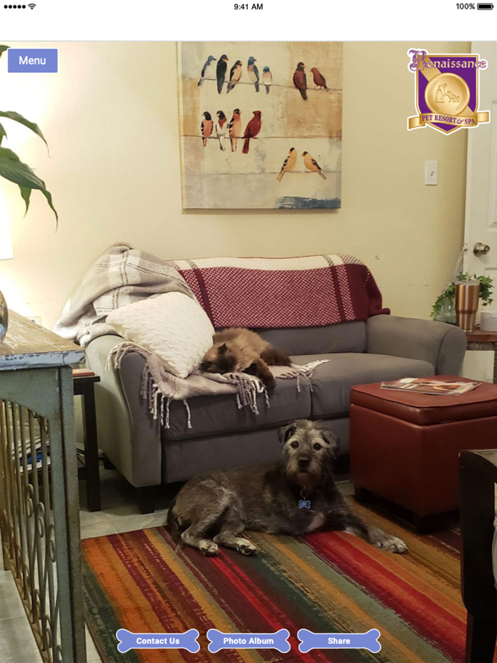 Renaissance Pet Resort and Spa