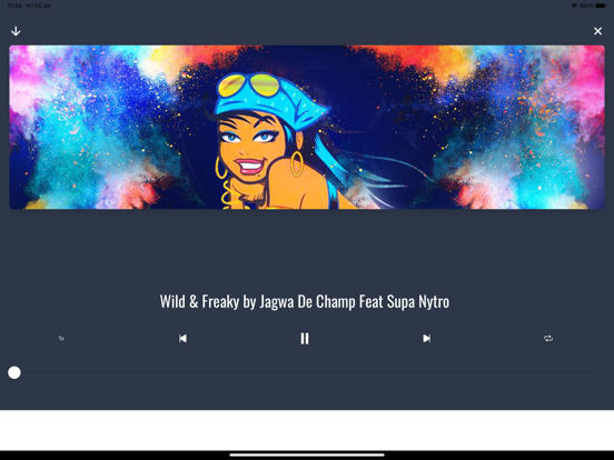 Screenshot #5 pour Party Caribbean