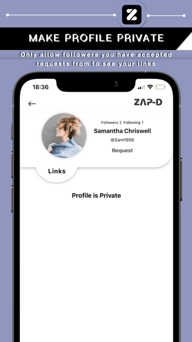 ZAP-D Screenshot