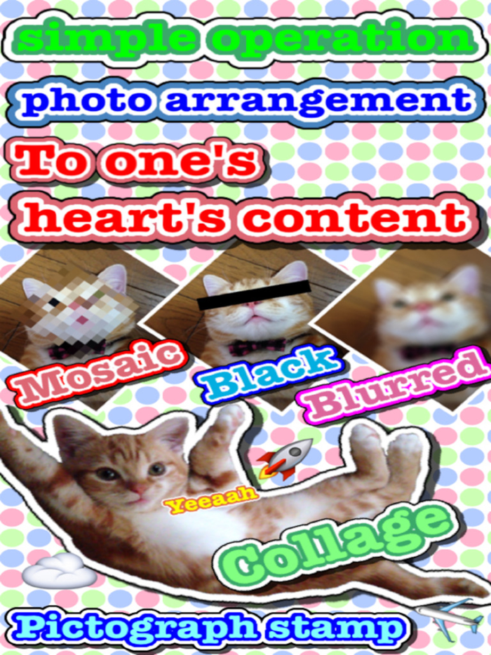 Photo Arrangement LITE