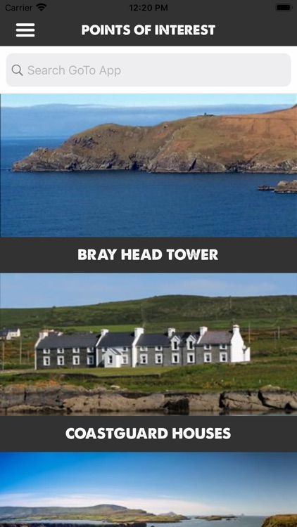 Skellig screenshot-8