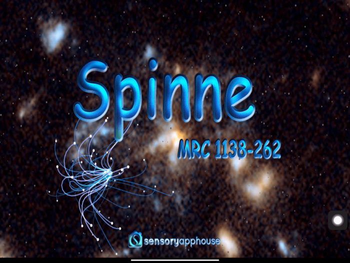 Spinne