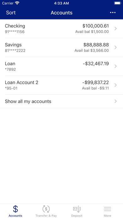 Breda Savings Bank Screenshot