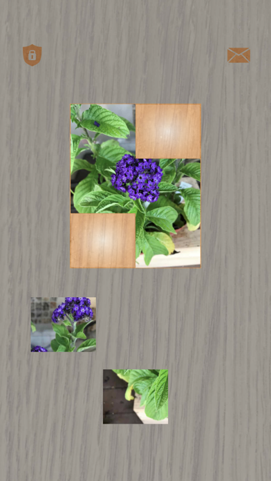 Plants: Tiling Puzzles Screenshot