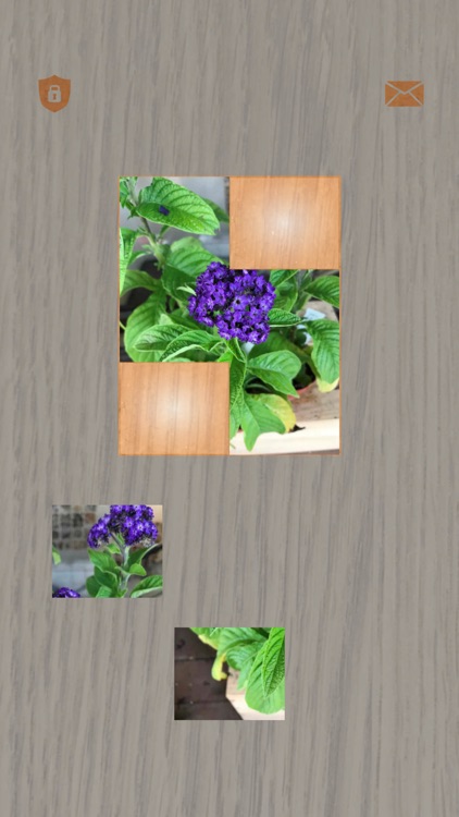 Plants: Tiling Puzzles screenshot-3