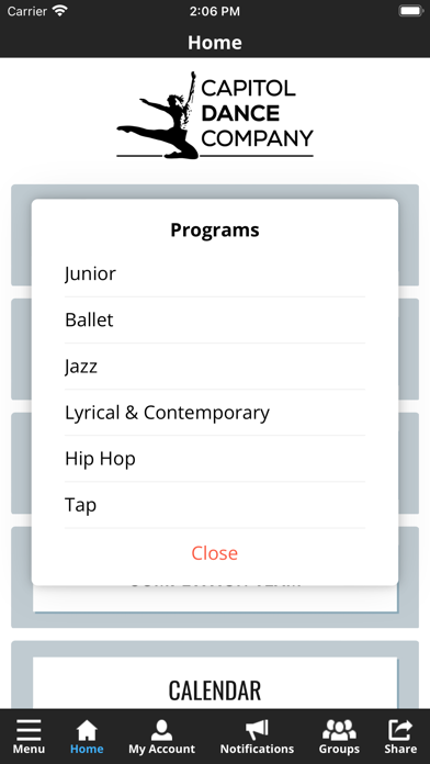 Capitol Dance Company Screenshot