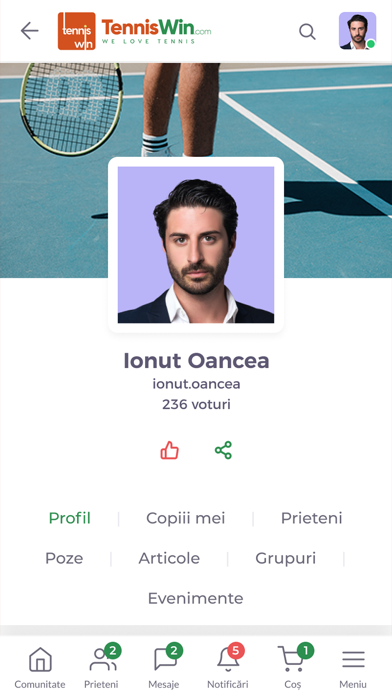 TennisWin Screenshot