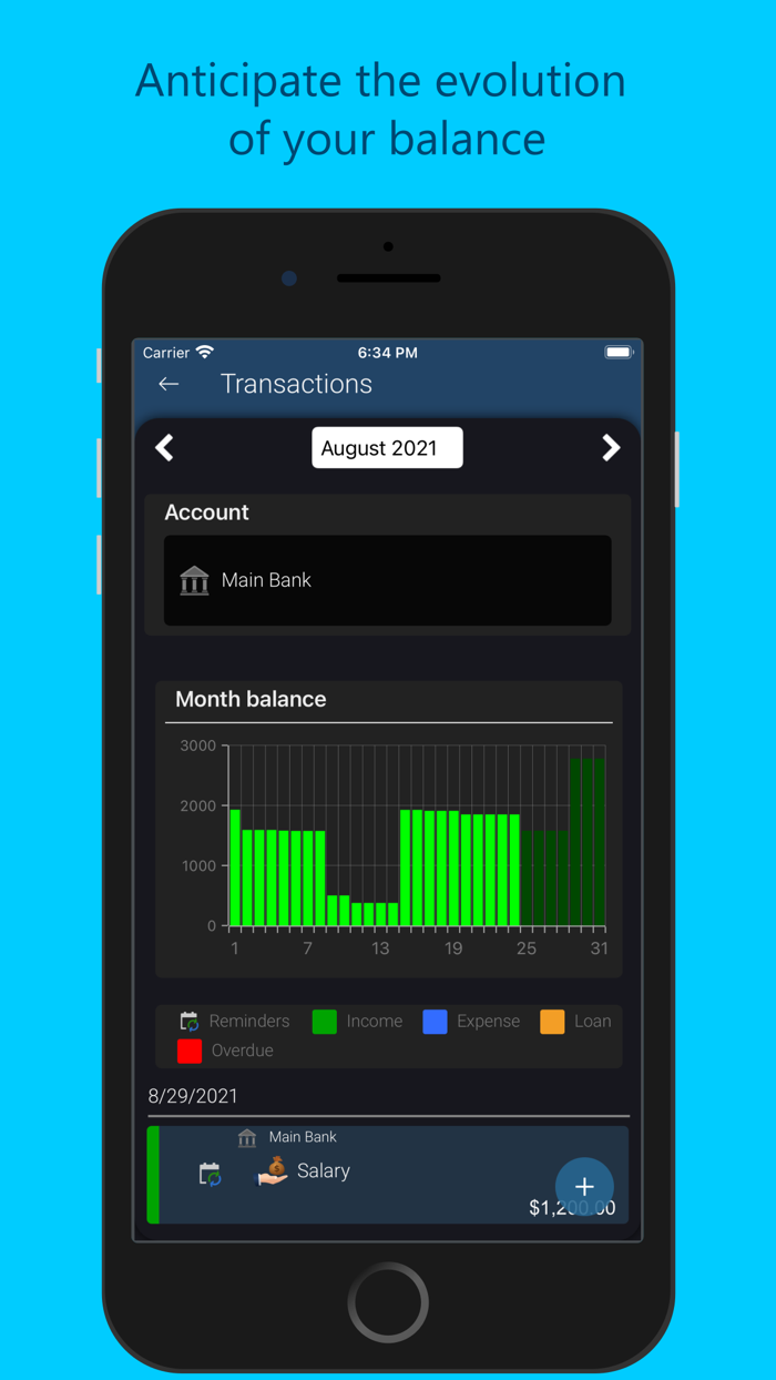 Saru - Expenses and Money
