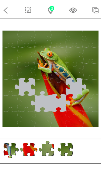 Jigsaw Puzzle Masters Screenshot