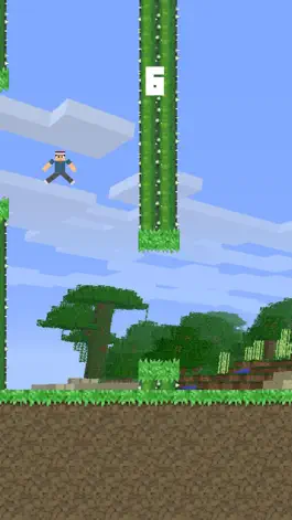 Game screenshot Flappy Craft Man mod apk