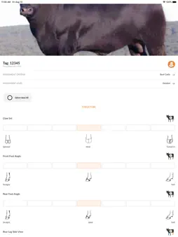ClassiMate screenshot 19